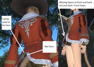 Illustration for article titled Catgirl Butts In Final Fantasy XIV Not Good Enough For Some Players